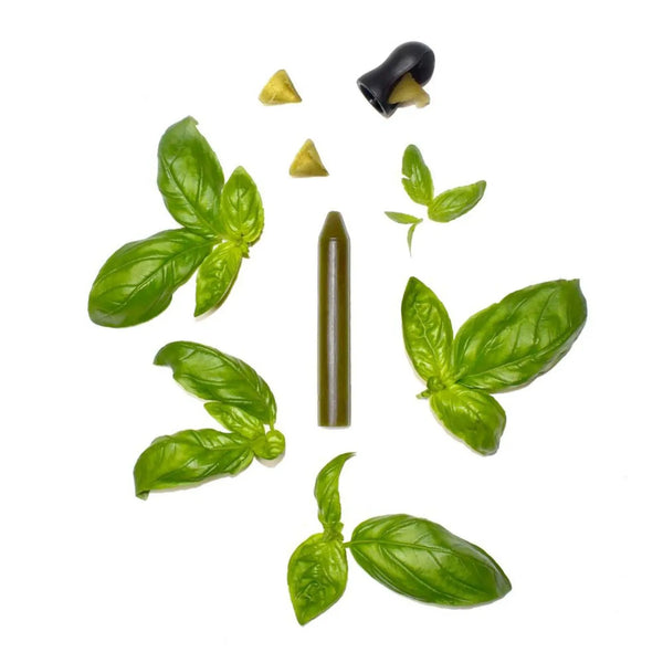 Organic Basil Pencil Box - OCNI