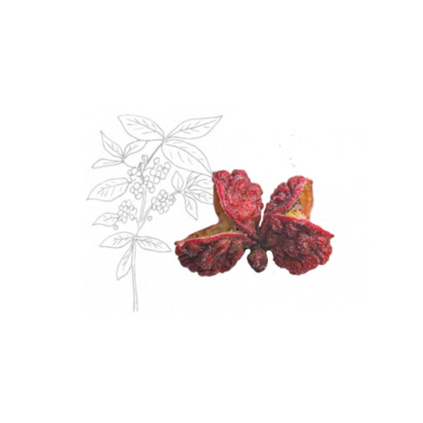 Sachet Poivre de Sichuan Rouge - Max Daumin